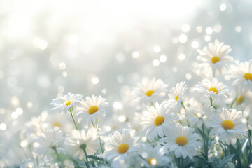 Bright chamomile floral soft pastel background with bokeh. Blurred backdrop with light tones.
