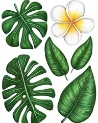 Fototapeta premium Activity routine productivity Balance. A vibrant illustration featuring various green leaves and a delicate white flower with yellow accents, showcasing tropical flora.