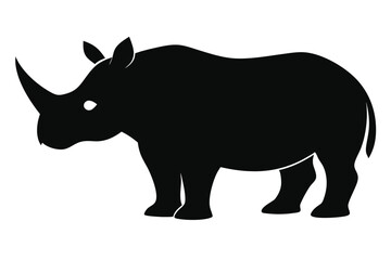 rhino isolated on white