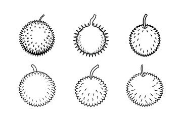 Rambutan &ndash; Nephelium lappaceum line art vector illustration