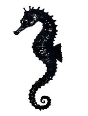 Obraz premium Seahorse Silhouette: Nautical Themed Stylized Marine Life Illustration for Aquatic Design