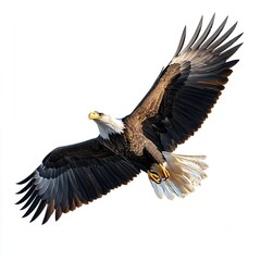 Majestic Bald Eagle in Flight Wings Spread Wide Soaring High Above
