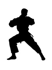 Obraz premium Martial Arts Silhouette: Karate Training Session Showcasing Dynamic Fighting Techniques and Dedication to Fitness