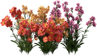 Wild flowers bouquet vector, hand-drawn floral illustration, isolated on transparent background, wildflower PNG, nature blossom, fresh colorful flowers, vibrant floral design