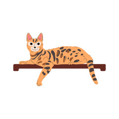 Bengal cat pedigree or hybrid cat breed. Vector illustration of purring animal or domesticated feline mammal. Kitten or kitty sign, pussycat or catling. Agile pet companion. House fauna. Zoology theme