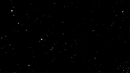 White Snow Falling on Isolated Black Background, Shot of Flying Snowflakes Bokeh, Dust Particles or Powder in the Air. Holiday Overlay Effect