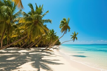 Sun Kissed Paradise Turquoise Ocean Meets Pristine White Sand Beach Under Brilliant Blue Sky, Offering Tropical Tranquility For Ultimate Relaxation