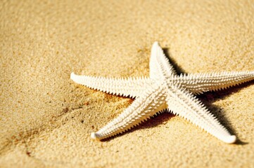 Starfish On White Sand Tranquil Beach Texture Captures Sunlight Shadow On Granular Surface With Five Pointed Elegance Nature Scene