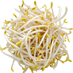Fresh Bean Sprouts. Raw, Healthy Food Ingredient For Cooking. Isolated On White or transparent.