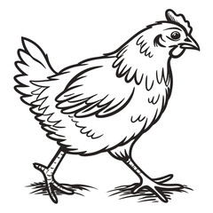 Fototapeta premium chicken-icon-hand-draw-black-colour-easter-monday- (29).eps