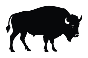 vector illustration of a buffalo