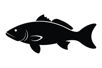 fish vector illustration