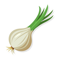 Onion isolated on white background. Spring season scallion vegetable. Cartoon style. Vector illustration.