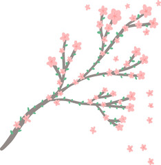 벚꽃, 꽃, flower, 봄, 블로섬, 네이처, 나무, 가지, 사쿠라, 꽃, 개화, 계절, 식물, sky, 분홍