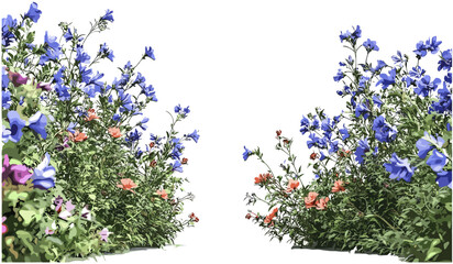 Ornamental bushes flowers vector, nature corridor cutout on transparent backgrounds, green plants, botanical design, floral patterns, nature plants, garden decor, flowers artwork