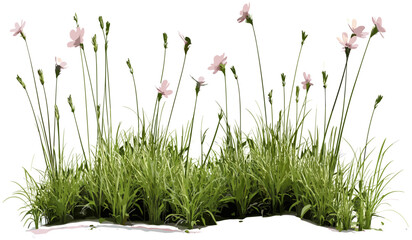 Meadow vector, flowery grass, illustration PNG, transparent background, fresh flowers, green meadow, nature, spring grass, blooming plants, floral background, nature landscape