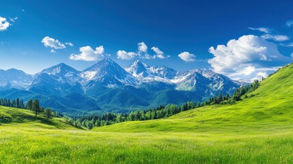 Obraz premium Majestic mountain range with snow-capped peaks under a bright blue sky, surrounded by lush green meadows and scattered clouds.