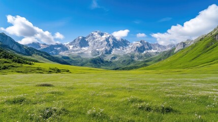 Naklejka premium Vast alpine meadow stretches beneath majestic snow-capped peaks. Sunny, vibrant landscape