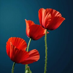 Obraz premium Bold red poppies burst against a deep blue backdrop A vibrant floral close-up , nature, macro, petals
