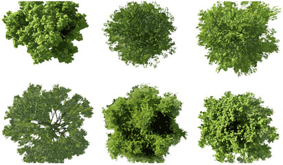 Aerial view, green tree canopy, nature vector, forest top, lush greenery, canopy collection, eco environment, leafy landscape, outdoor, fresh foliage, tree tops, sustainable nature