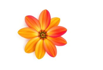 Naklejka premium A single vibrant flower, petals perfectly formed, isolated against a pure white backdrop, element, flower photography