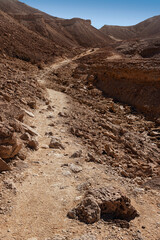 In the area of the Netafim spring near Eilat. 2