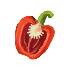 Red bell pepper on isolated white background. Digital art, oil imitation. Autumn harvest, healthy food.