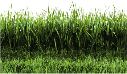 Greenery meadow nature grass transparent background png file, landscaping cut-out, fresh grass, nature background, eco-friendly, outdoor scenery, sustainable design