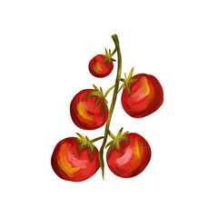 Branch of cherry tomatoes on isolated white background. Digital art, oil imitation. Autumn harvest, healthy food.