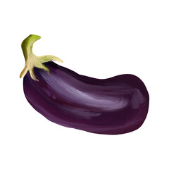 Eggplant on isolated white background. Digital art, oil imitation. Autumn harvest, healthy food.