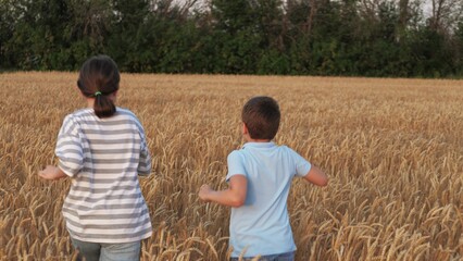 Energetic kids rushing running across yellow wheat field, rear view. Joyful children friends...