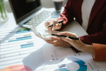 Businesswoman analyzing charts and financial data on laptop in modern office. She focuses on investment strategies and budget planning, collaborating with colleagues to drive organizational growth and