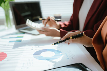 Businesswoman analyzing charts and financial data on laptop in modern office. She focuses on investment strategies and budget planning, collaborating with colleagues to drive organizational growth and