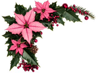 Poinsettias and Holly Festive Corner Decoration, cut out transparent