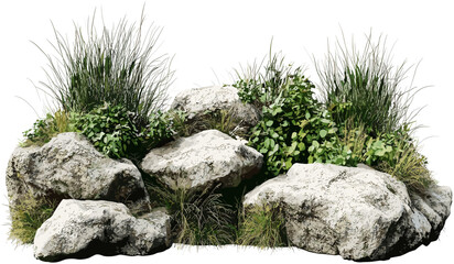 Vector rocks and weeds, grassy landscape, PNG transparent, plant composition, nature background, isolated elements, grass field, outdoor scene, natural landscape © aura studio