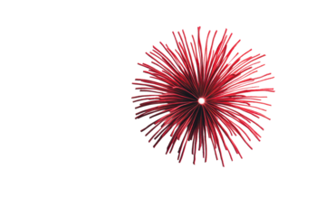 Radiant red fireworks burst against black backdrop, cut out transparent