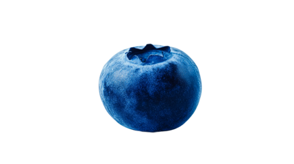 Single blue berry on isolated background, cut out transparent