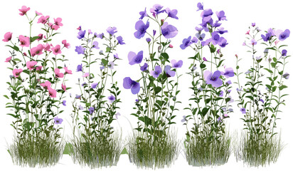 Naklejka premium Vector floral illustrations, naturally blooming flowers set, transparent background png, nature artwork, vibrant spring blooms, botanical designs, colorful flower graphics