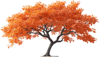 Fototapeta premium Vector autumn tree cutout orange leafs, transparent background png, fall foliage, autumn leaves, seasonal tree illustration, nature design, autumn background, leaf silhouette, autumn decor