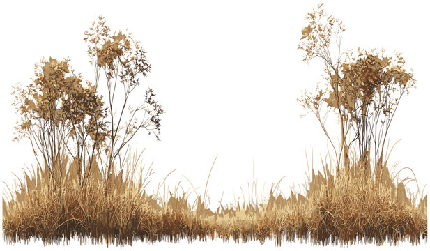 Vector illustration of savanna field, dried grass cutout, PNG, nature backdrop, African savanna, wilderness background, dry grass texture, wildlife landscape, grassland backdrop