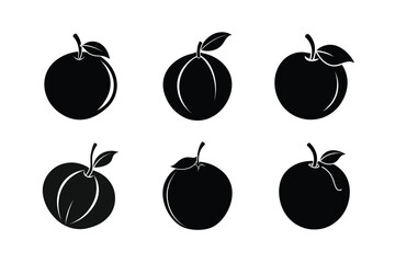 Santol – Sandoricum koetjape  silhouette vector illustration