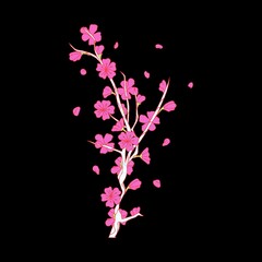 Elegant Cherry Blossom Branch with Falling Pink Petals on Black Background