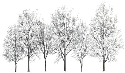 Wintertime vector snow-covered trees landscape png file, snow, winter trees, snowy forest, frost-covered branches, cold season, nature background, frozen landscape, serene winter scene,