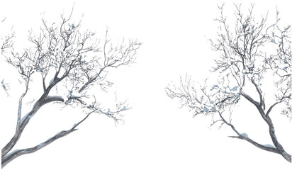 Vector snowy tree branches winter cut out transparent PNG background, wintertime landscape, nature snow-covered trees, seasonal illustration, winter forest design