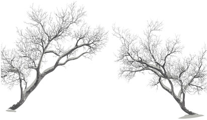 Vector snow-covered branches, winter cut-out PNG, frozen trees, transparent background, nature scene, cold weather elements, seasonal illustration, snowy landscape