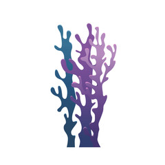 Obraz premium Purple algae. Underwater grass, aquarium seaweed. Vector illustration design element.