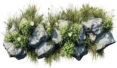 top view grass pasture with flowery rocks, transparent backgrounds, PNG, meadow field, green land, nature landscape, floral ground cover, isolated clipart, spring scenery © aura studio