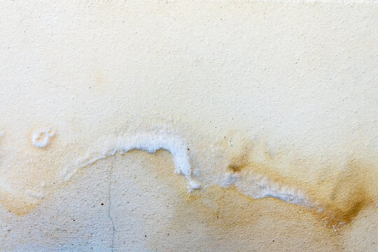 White crystals of Salpeter (or salpetre) on the surface of a moisture wall