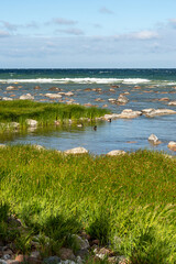 Baltic Sea coastal wetland ducks rocks shoreline Gotland island Visby Sweden ocean waves horizon blue sky sunshine wildlife ecosystem vertical background