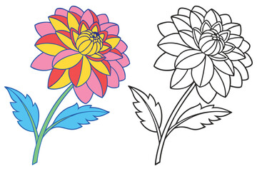 Beautiful Colorful Dahlia Flower with Line Art Illustration for Coloring Pages